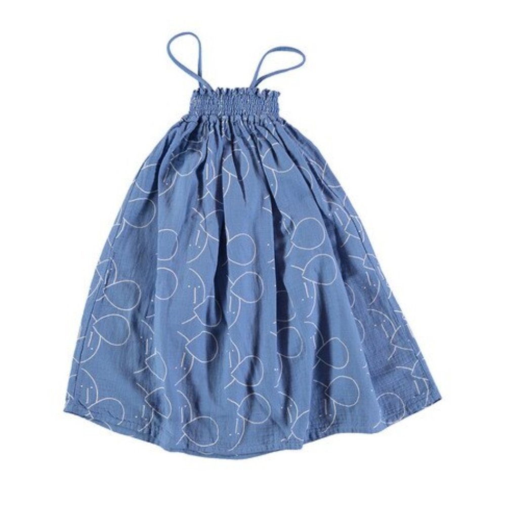 Picnik blue dress